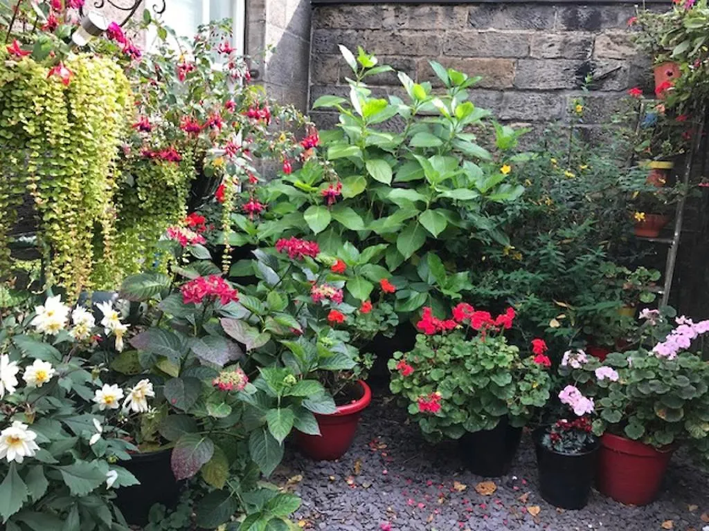 22 Chester Street Guest House Edinburgh