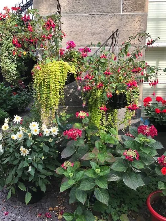 22 Chester Street Guest House Edinburgh