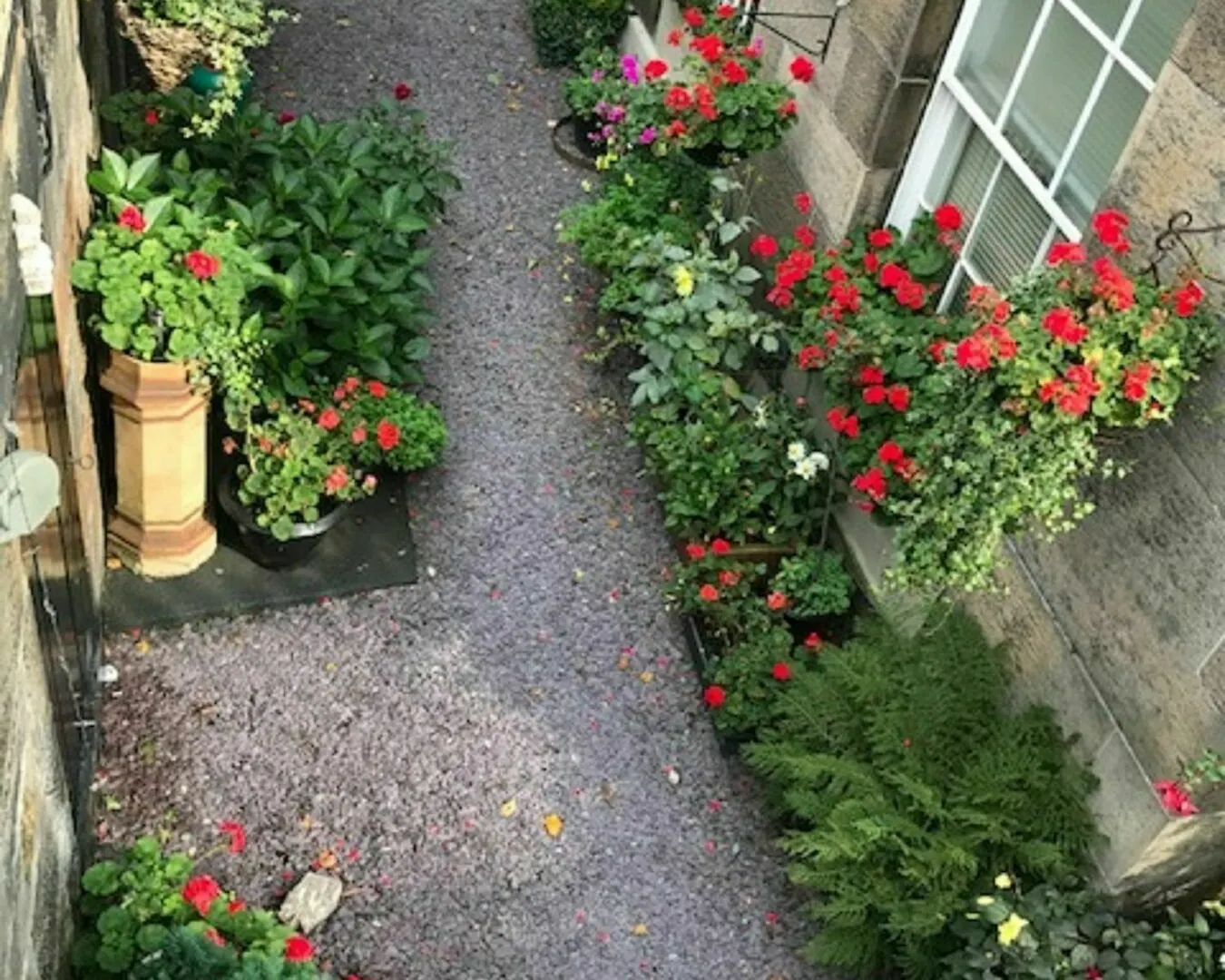 22 Chester Street Guest House Edinburgh